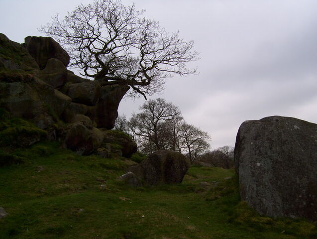 File:2928714 b50459f4.jpg