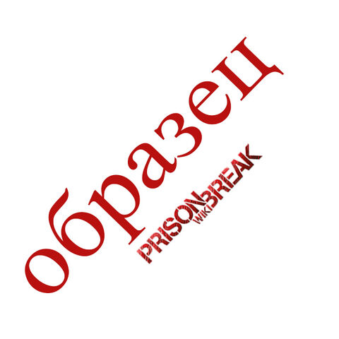 Файл:Образец.jpg