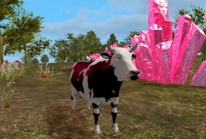 Cow
