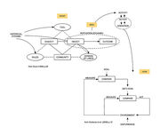 ActivityAndConversation v01