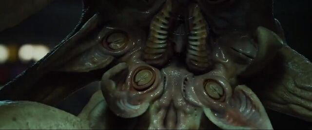 File:Trilobite2.jpg