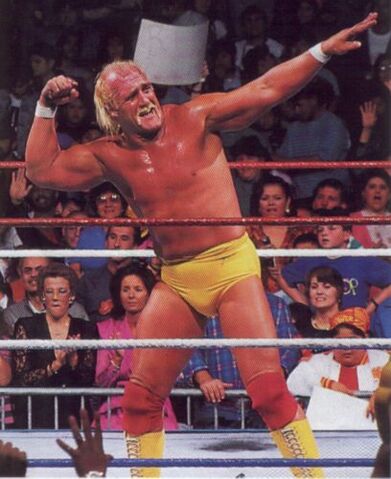 Datei:Hulkamania.jpg