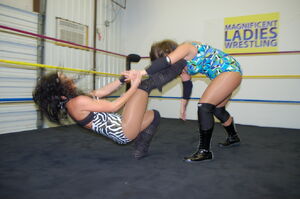 Inverted stomp facebreaker
