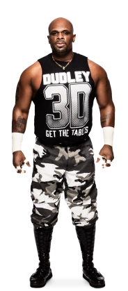 Image - D-Von Dudley (WWE 2015).png | Pro Wrestling | FANDOM powered by