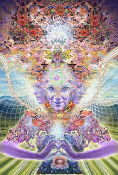 Meditate2this2