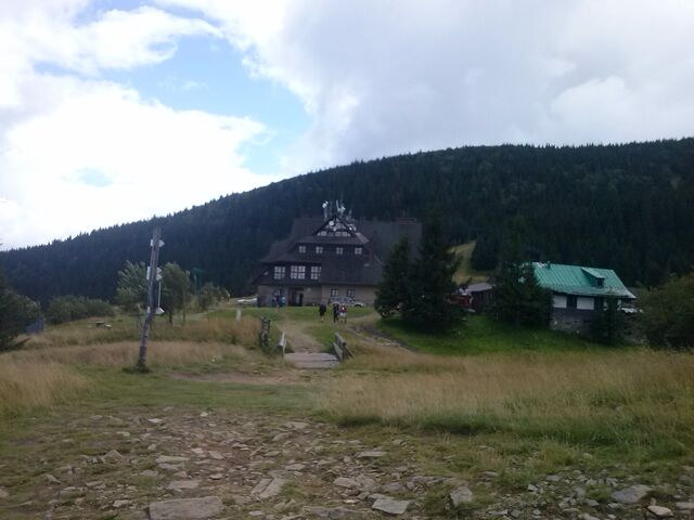 Plik:Hala Miziowa1.jpg