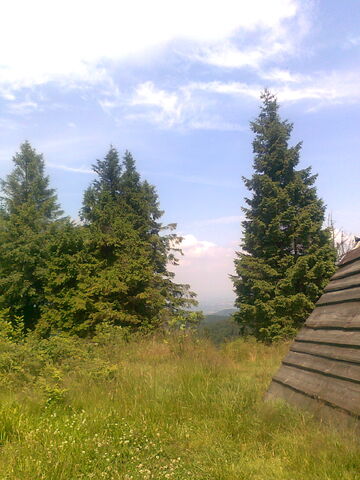 Plik:Leskowiec6.jpg