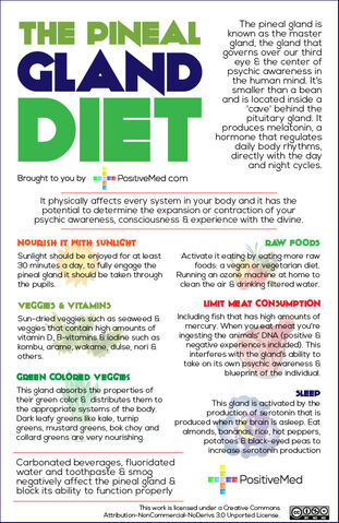 File:Pineal-gland-dietWEB.jpg