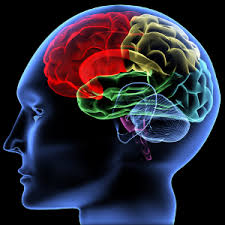 File:Edietic memory.jpg