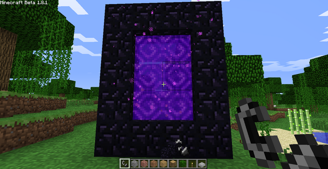 File:Nether portal.png
