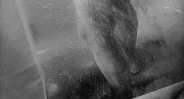 File:Shower 28.jpg