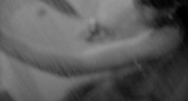 File:Shower 19.jpg