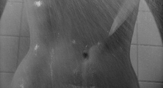 File:Shower 24.jpg