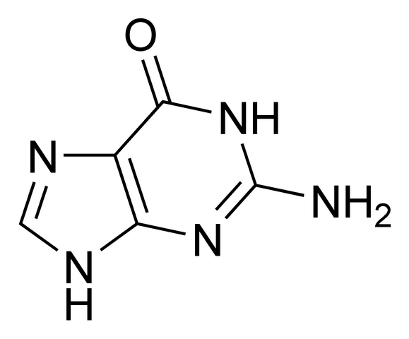 File:Guanine chemical structure.png