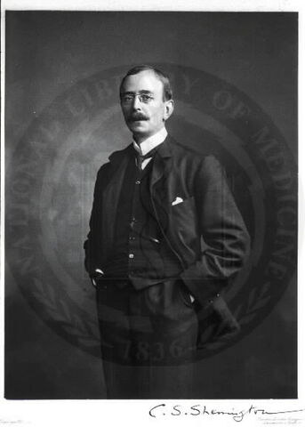 File:Charles Scott Sherrington.jpg