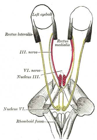 File:Gray785.png