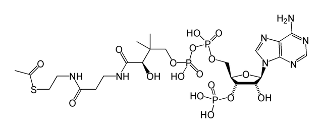 File:Acetyl-CoA-2D.png