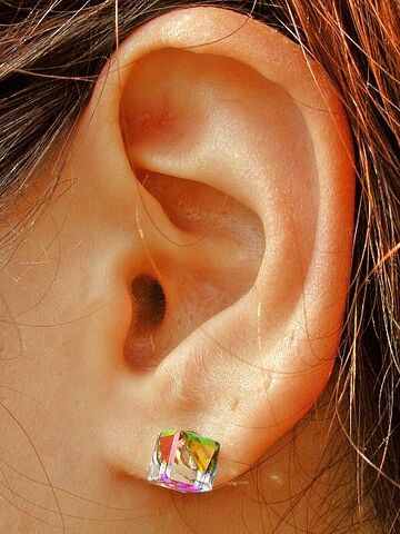 File:Pierced earlobe.jpg