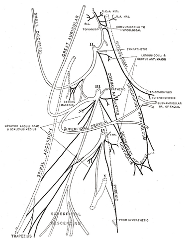 File:Gray804.png