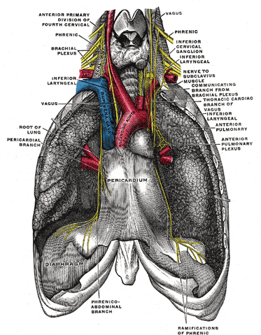File:Gray806.png