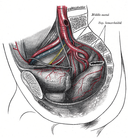 File:Gray539.png