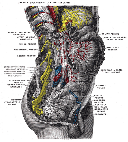File:Gray849.png