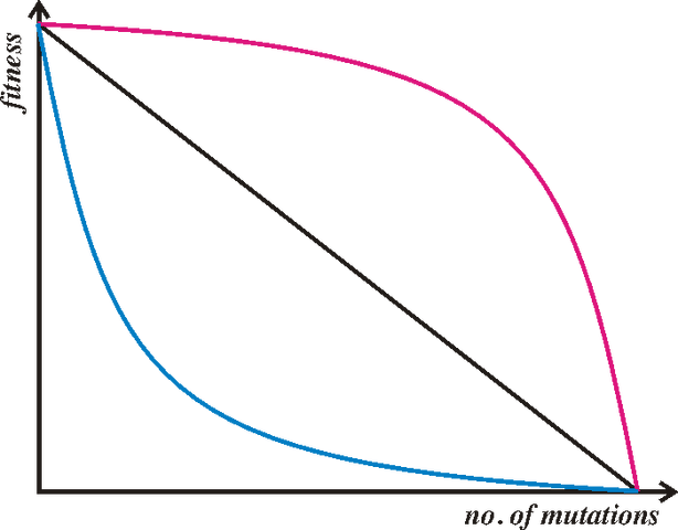 File:Evolsex-dia3a.png