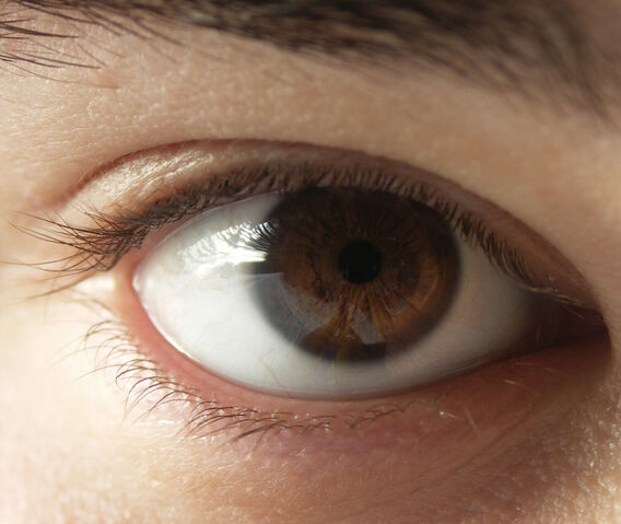 File:Menschliches Auge.jpg