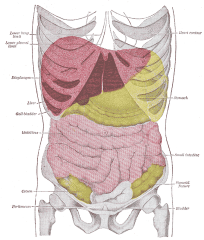 File:Gray1224.png