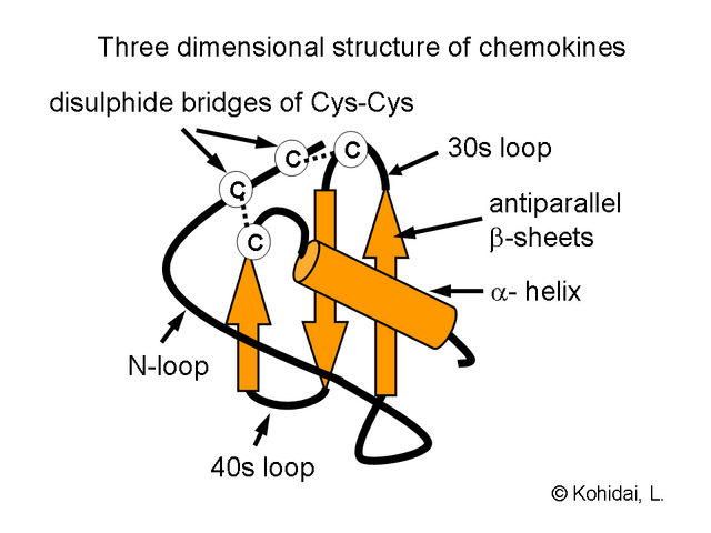 File:ChtxChemkinStr2.png