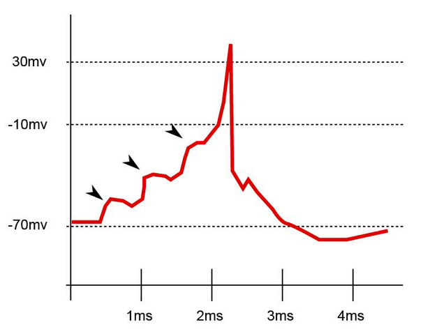 File:Synapse diag5.png