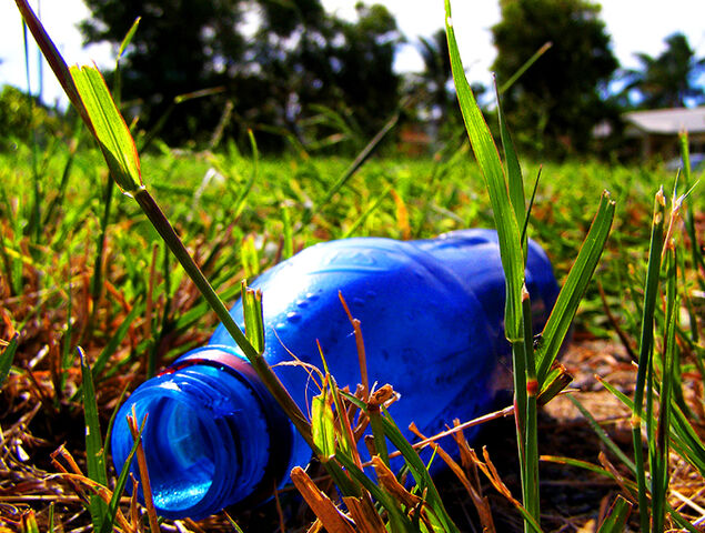 File:Paint sniffing bottle.jpg