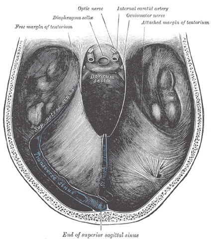 File:Gray766.png