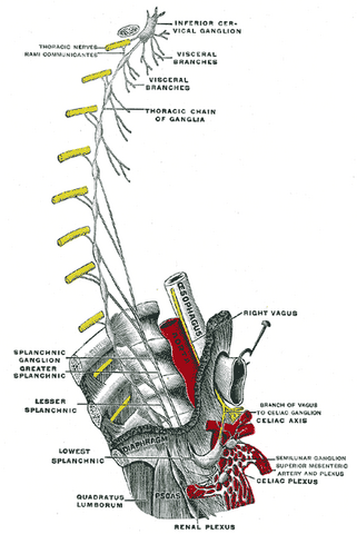 File:Gray845.png