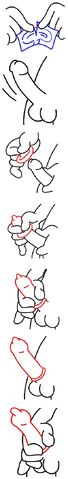 File:Posecondom.jpg