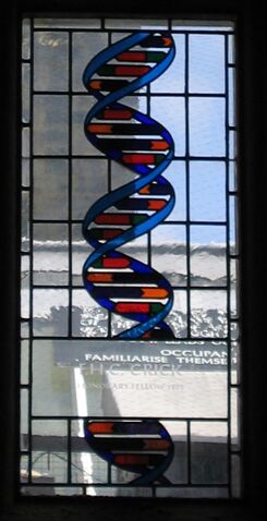 File:Crick-stainedglass-gonville-caius.jpg