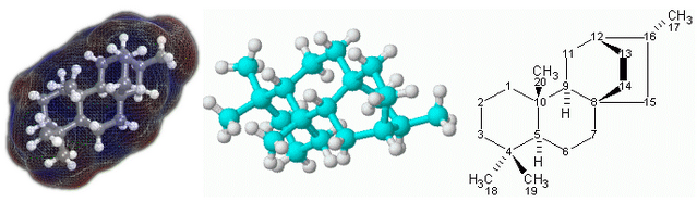 File:Atisane3.png