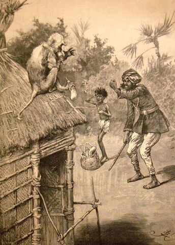 File:Indianmonkey.jpg