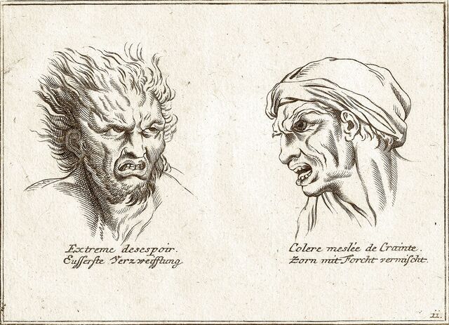 File:Physiognomy.jpg