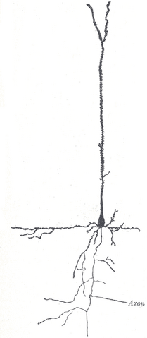 File:Gray627.png