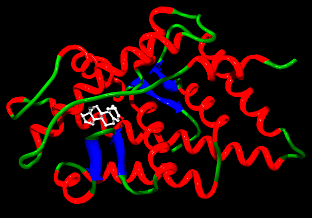 File:Steroid receptor.png