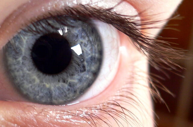 File:Blue eye.jpg