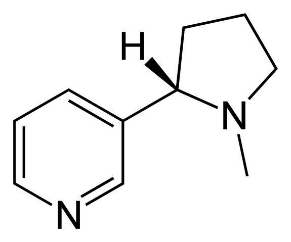 File:Nicotine-2D-skeletal.png
