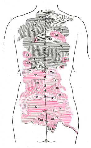 File:Gray802.png