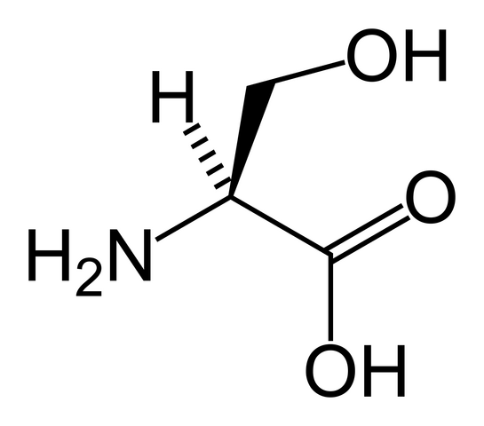 File:L-serine-skeletal.png