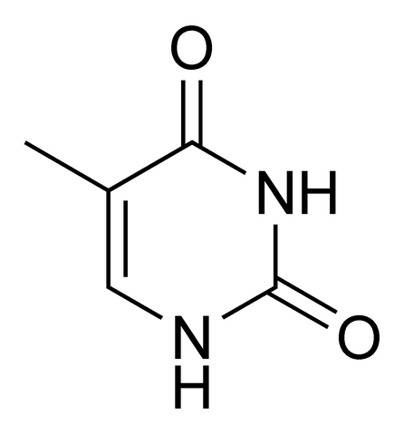File:Thymine chemical structure.png