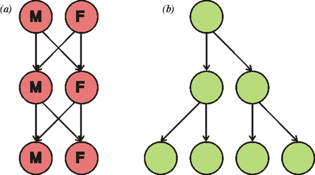 File:Evolsex-dia1a.png