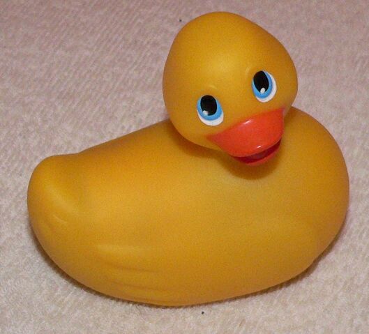 File:Canard vibrant.jpg