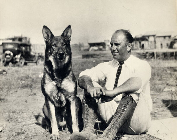 Plik:Rin tin tin.jpg