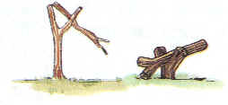 檔案:Brief01.jpg